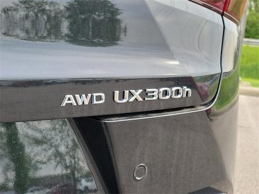 2025 Lexus UX 300h Premium