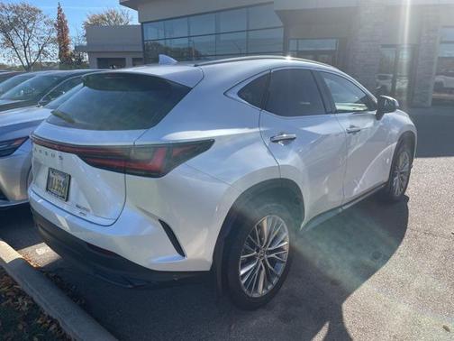 2023 Lexus NX 350 Luxury