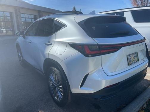 2023 Lexus NX 350 Luxury