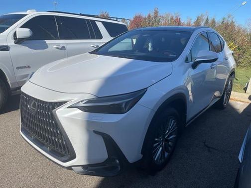 2023 Lexus NX 350 Luxury