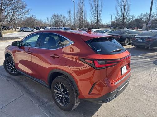 2024 Lexus NX 350h AWD