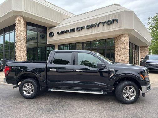 Black Metallic 2024 Ford F-150 XLT