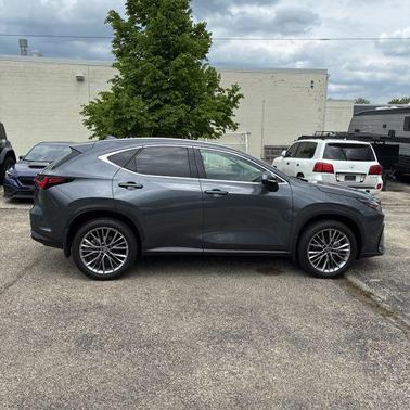 Cloudburst Gray 2023 Lexus NX 350 Luxury