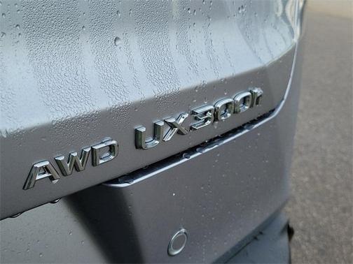 2025 Lexus UX 300h Premium