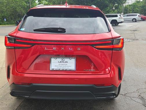 Dark Gray Metallic 2025 Lexus NX 250 Base