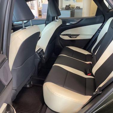 Nori Green Pearl 2024 Lexus NX 350 Premium