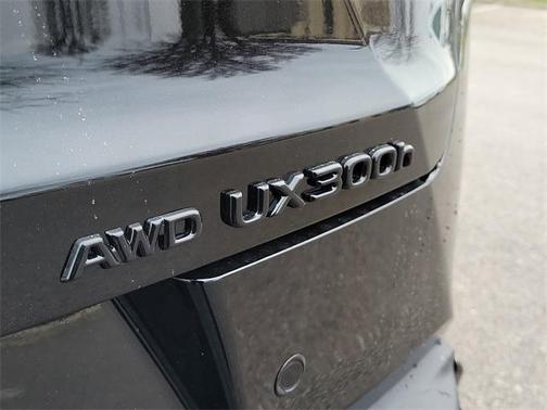 2025 Lexus UX 300h F SPORT Design