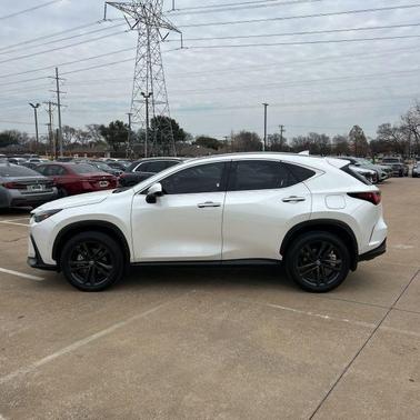 2025 Lexus NX 450h+ Luxury