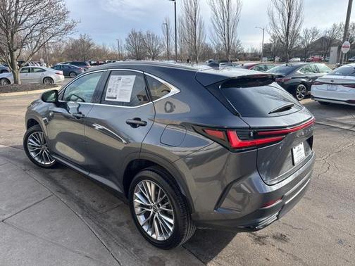 2025 Lexus NX 350h Premium