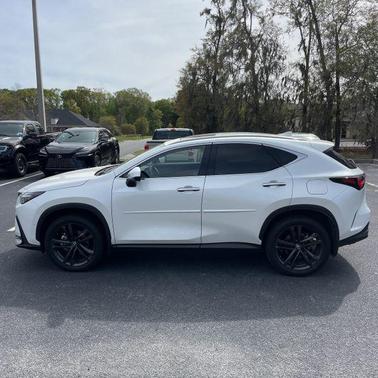 2025 Lexus NX 450h+ Luxury