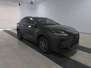 2025 Lexus NX 250 Base
