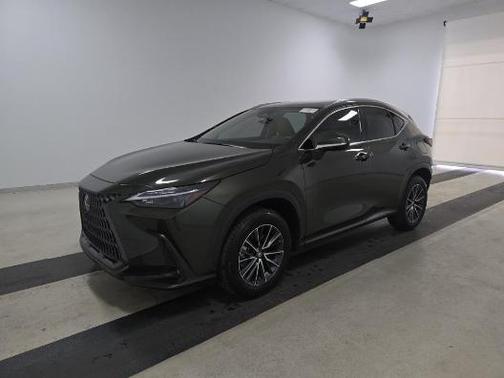 2025 Lexus NX 250 Base