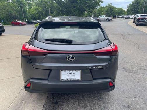 Cloudburst Gray 2023 Lexus UX 250h Base