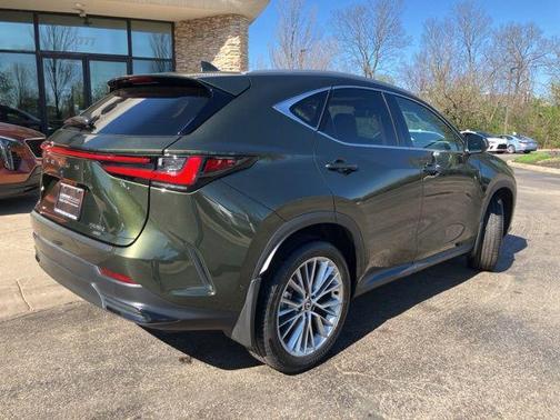 Nori Green Pearl 2025 Lexus NX 350 Luxury
