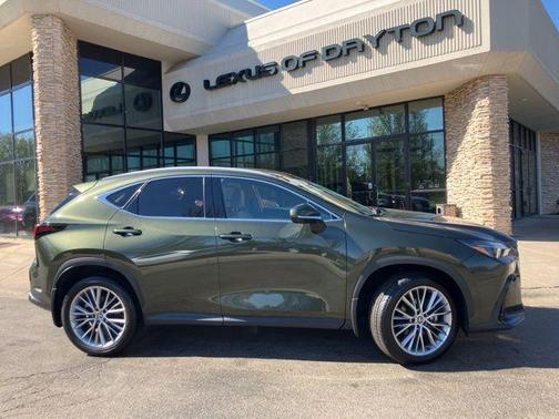 Nori Green Pearl 2025 Lexus NX 350 Luxury