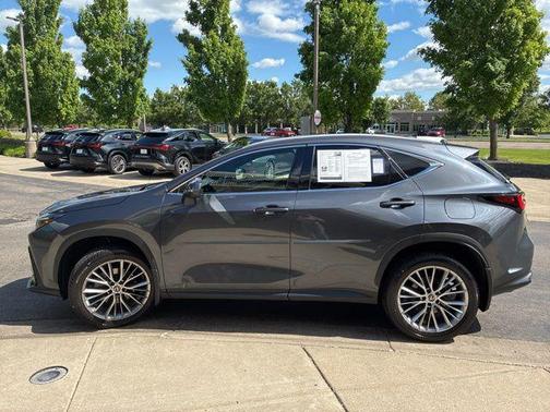 Cloudburst Gray 2024 Lexus NX 350 Luxury