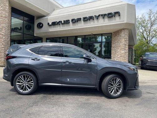 Cloudburst Gray 2024 Lexus NX 350 Luxury