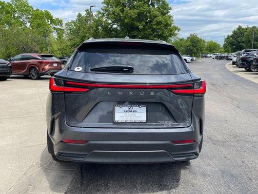 Cloudburst Gray 2024 Lexus NX 350 Luxury