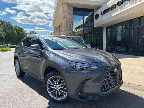 Cloudburst Gray 2024 Lexus NX 350 Luxury