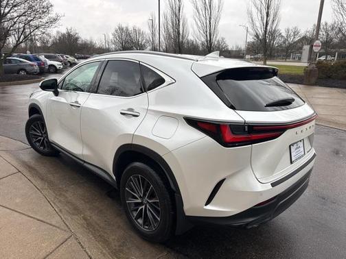 2024 Lexus NX 250 Premium