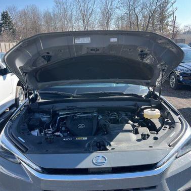 2025 Lexus TX 500h F SPORT Luxury