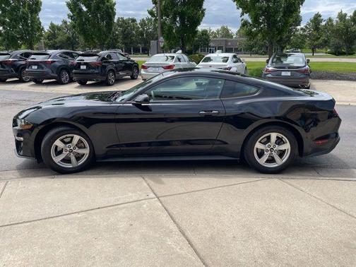 Shadow Black 2020 Ford Mustang EcoBoost