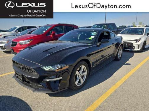 Shadow Black 2020 Ford Mustang EcoBoost