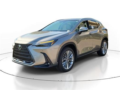 2025 Lexus NX 350 Luxury