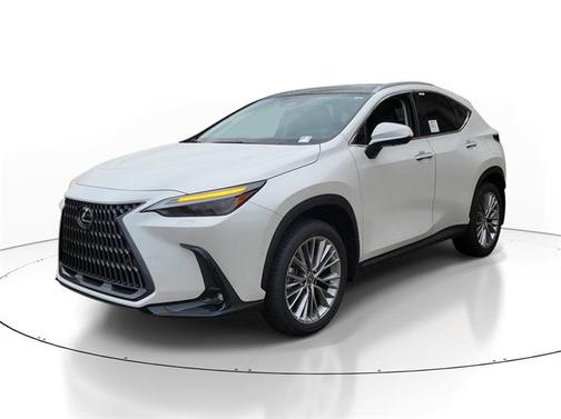 2025 Lexus NX 350 Luxury
