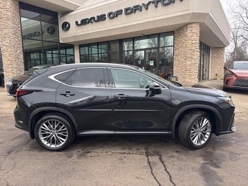 2024 Lexus NX 350 Luxury