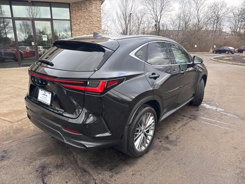 2024 Lexus NX 350 Luxury