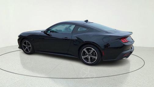 Shadow Black 2024 Ford Mustang EcoBoost