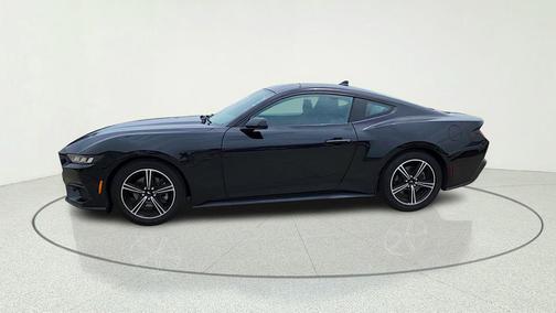 Shadow Black 2024 Ford Mustang EcoBoost