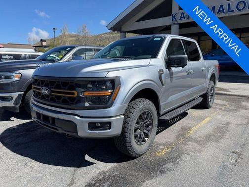 Gray 2025 Ford F-150 Tremor