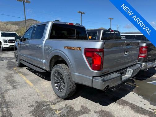 Gray 2025 Ford F-150 Tremor