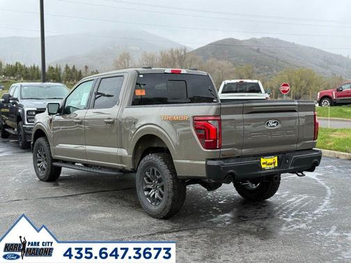 Gray 2026 Ford F-150 Tremor