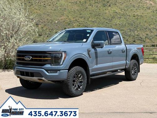 Gray 2023 Ford F-150 Tremor
