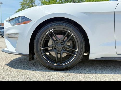 OXFORD WHITE 2019 Ford Mustang EcoBoost