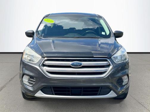 Magnetic 2019 Ford Escape SE