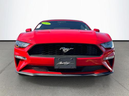 Race Red 2019 Ford Mustang EcoBoost
