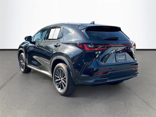2024 Lexus NX 250 Premium