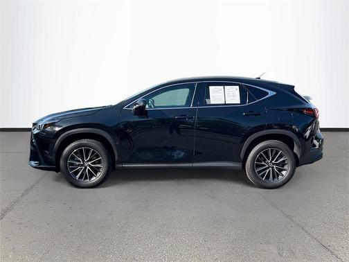 2024 Lexus NX 250 Premium