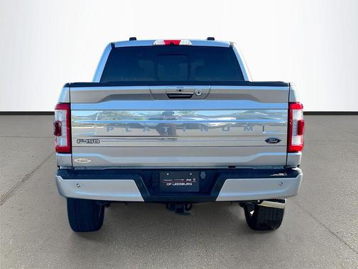 Silver Metallic 2023 Ford F-150 Platinum
