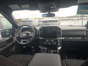 Oxford White 2023 Ford F-150 XLT