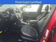 Rapid Red Metallic Tinted Clearcoat 2024 Ford Escape ST-Line