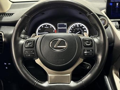 2021 Lexus NX 300 Luxury