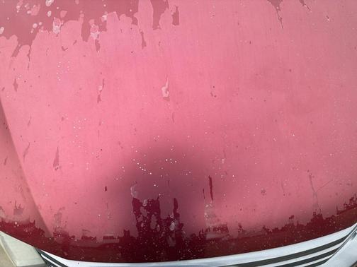 2010 Honda Insight EX