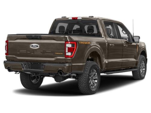 Gray 2022 Ford F-150 Tremor