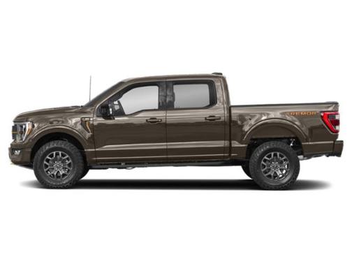 Gray 2022 Ford F-150 Tremor
