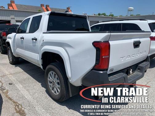Ice Cap 2024 Toyota Tacoma SR
